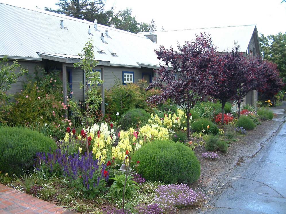 Colorful Frontyard Yountville