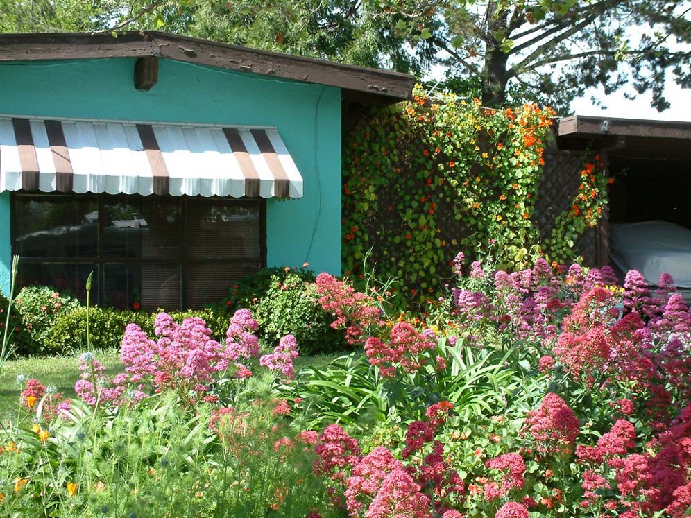 Colorful Livermore Spring Garden